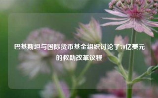 巴基斯坦与国际货币基金组织讨论了70亿美元的救助改革议程