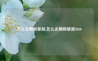 怎么去朝鲜旅游,怎么去朝鲜旅游2020