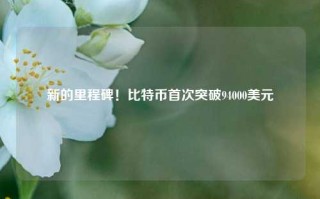 新的里程碑！比特币首次突破94000美元