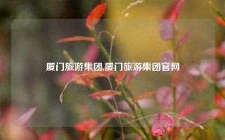 厦门旅游集团,厦门旅游集团官网