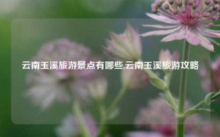 云南玉溪旅游景点有哪些,云南玉溪旅游攻略