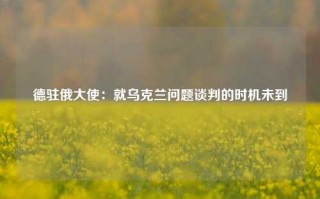 德驻俄大使：就乌克兰问题谈判的时机未到