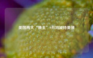 美国两大“债主”9月均减持美债