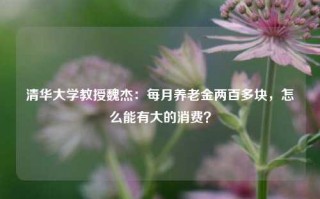 清华大学教授魏杰：每月养老金两百多块，怎么能有大的消费？