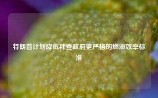 特朗普计划降低拜登政府更严格的燃油效率标准