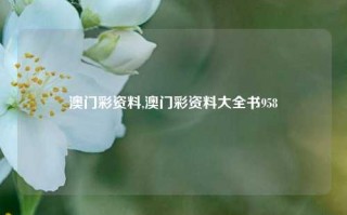 澳门彩资料,澳门彩资料大全书958