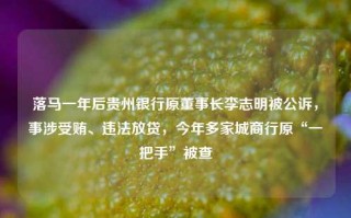 落马一年后贵州银行原董事长李志明被公诉，事涉受贿、违法放贷，今年多家城商行原“一把手”被查