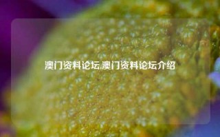 澳门资料论坛,澳门资料论坛介绍