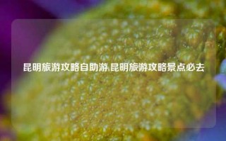 昆明旅游攻略自助游,昆明旅游攻略景点必去