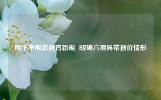 网下申购新股有新规  明确六项异常报价情形