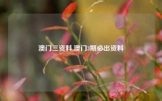 澳门三资料,澳门3期必出资料