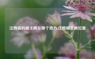 江西省的滕王阁在哪个地方,江西滕王阁位置