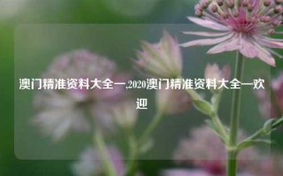 澳门精准资料大全一,2020澳门精准资料大全—欢迎