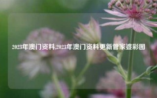 2023年澳门资料,2023年澳门资料更新管家婆彩图