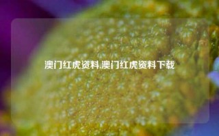 澳门红虎资料,澳门红虎资料下载