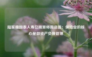 陆家嘴国泰人寿总精算师周浩波：保险业的核心是做资产负债管理