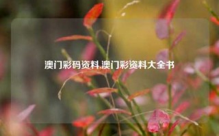 澳门彩码资料,澳门彩资料大全书