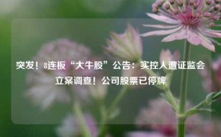 突发！8连板“大牛股”公告：实控人遭证监会立案调查！公司股票已停牌