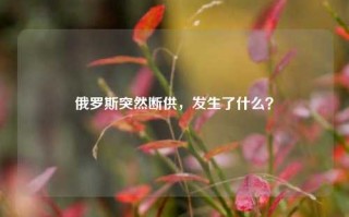 俄罗斯突然断供，发生了什么？