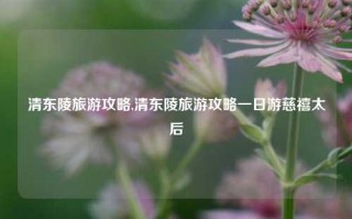 清东陵旅游攻略,清东陵旅游攻略一日游慈禧太后