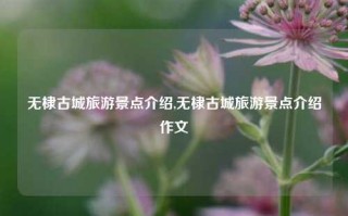 无棣古城旅游景点介绍,无棣古城旅游景点介绍作文