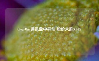 ClearOne通讯盘中异动 股价大跌5.04%