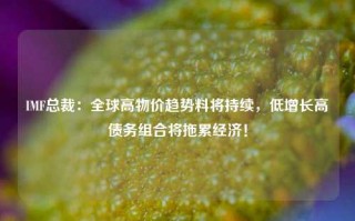 IMF总裁：全球高物价趋势料将持续，低增长高债务组合将拖累经济！