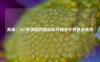 高盛：2025年美国的融资和并购水平将更加强劲