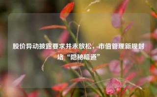 股价异动披露要求并未放松，市值管理新规封堵“隐秘暗道”