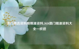 澳门精选资料期期准资料,2020澳门精准资料大全—欢迎