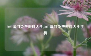 2021澳门免费资料大全,2021澳门免费资料大全手机