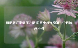 印尼盾汇率承压之际 印尼央行连续第二个月按兵不动