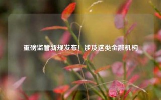 重磅监管新规发布！涉及这类金融机构