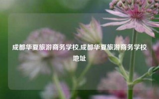 成都华夏旅游商务学校,成都华夏旅游商务学校地址