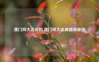 澳门何大志资料,澳门何大志被追杀原因