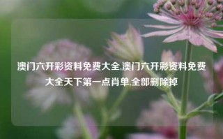 澳门六开彩资料免费大全,澳门六开彩资料免费大全天下第一点肖单,全部删除掉