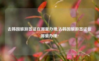 去韩国旅游签证在哪里办理,去韩国旅游签证在哪里办理?