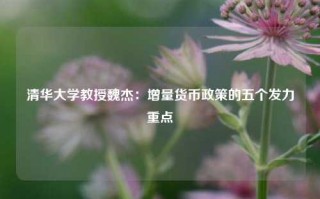 清华大学教授魏杰：增量货币政策的五个发力重点