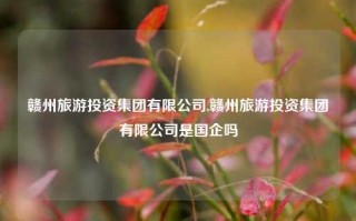 赣州旅游投资集团有限公司,赣州旅游投资集团有限公司是国企吗