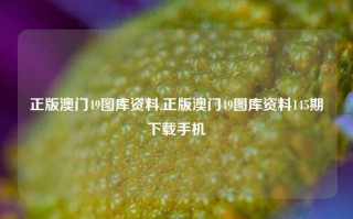 正版澳门49图库资料,正版澳门49图库资料145期下载手机