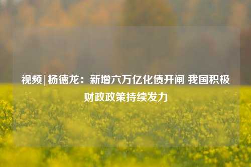 视频|杨德龙：新增六万亿化债开闸 我国积极财政政策持续发力-第1张图片-旅游攻略网