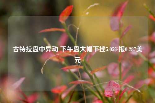 古特拉盘中异动 下午盘大幅下挫5.05%报0.287美元-第1张图片-旅游攻略网