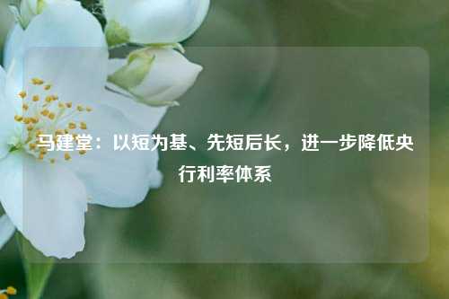 马建堂：以短为基、先短后长，进一步降低央行利率体系-第1张图片-旅游攻略网