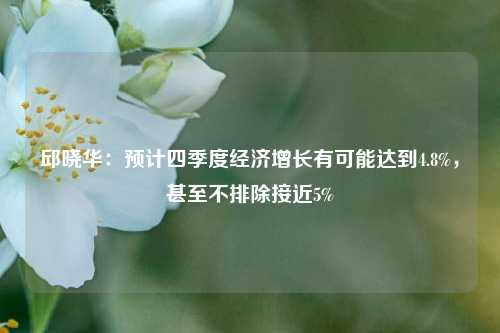 邱晓华：预计四季度经济增长有可能达到4.8%，甚至不排除接近5%-第1张图片-旅游攻略网