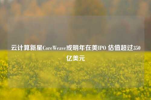 云计算新星CoreWeave或明年在美IPO 估值超过350亿美元-第1张图片-旅游攻略网