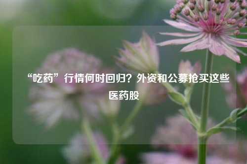 “吃药”行情何时回归？外资和公募抢买这些医药股-第1张图片-旅游攻略网