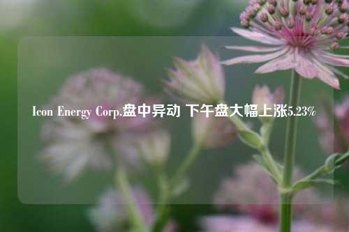 Icon Energy Corp.盘中异动 下午盘大幅上涨5.23%-第1张图片-旅游攻略网