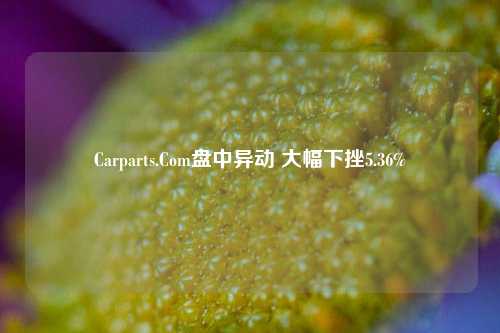 Carparts.Com盘中异动 大幅下挫5.36%-第1张图片-旅游攻略网