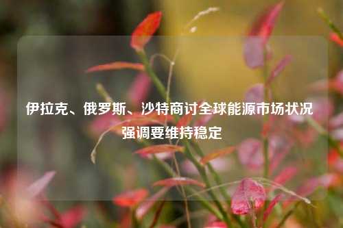 伊拉克、俄罗斯、沙特商讨全球能源市场状况 强调要维持稳定-第1张图片-旅游攻略网