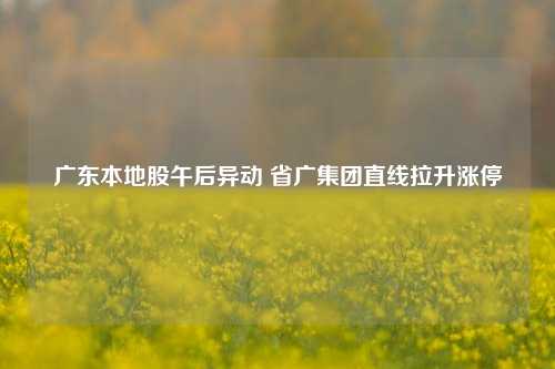 广东本地股午后异动 省广集团直线拉升涨停-第1张图片-旅游攻略网